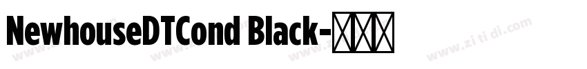 NewhouseDTCond Black字体转换